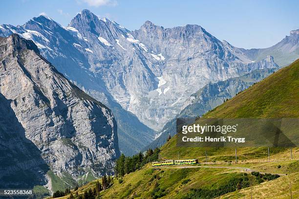 train in the jungfrau alps - wengen fotografías e imágenes de stock