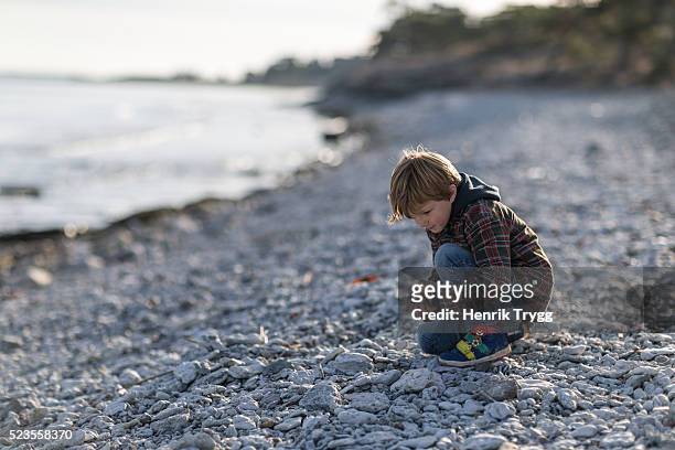 boy playing on beach - stockholm beach stock pictures, royalty-free photos & images