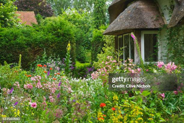 garden at old thatch, berkshire - cottage stock pictures, royalty-free photos & images