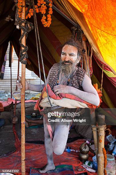 kumbh mela hindu festival - kumbh mela at allahabad stockfoto's en -beelden