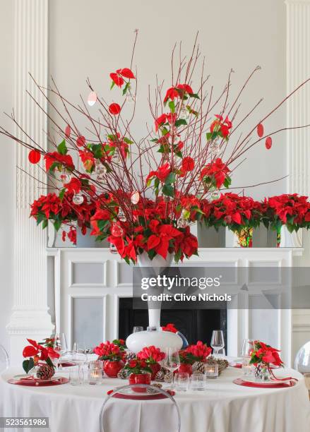 dining table decorated with poinsettias - kerstroos stockfoto's en -beelden