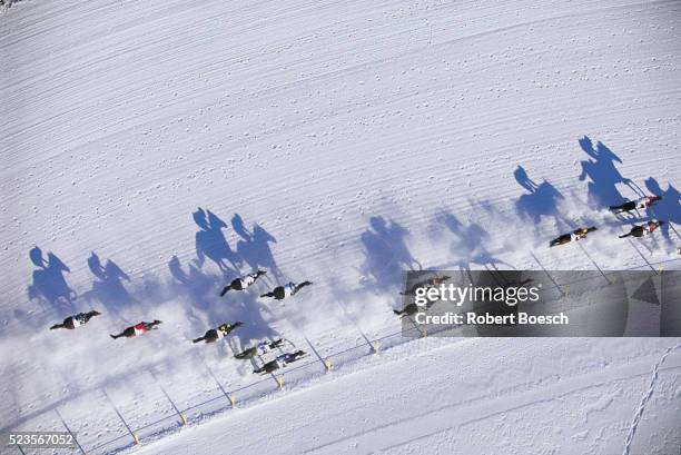 white turf st. moritz, switzerland - faster horses stock pictures, royalty-free photos & images