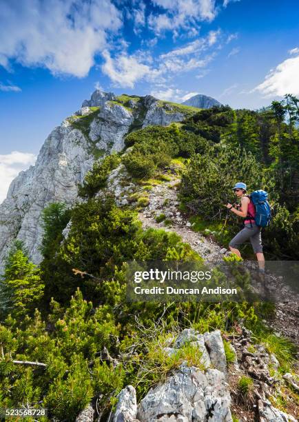 a hiker making their way up to the summit of prisank on a beautiful sunny day - slovenia hiking stock pictures, royalty-free photos & images