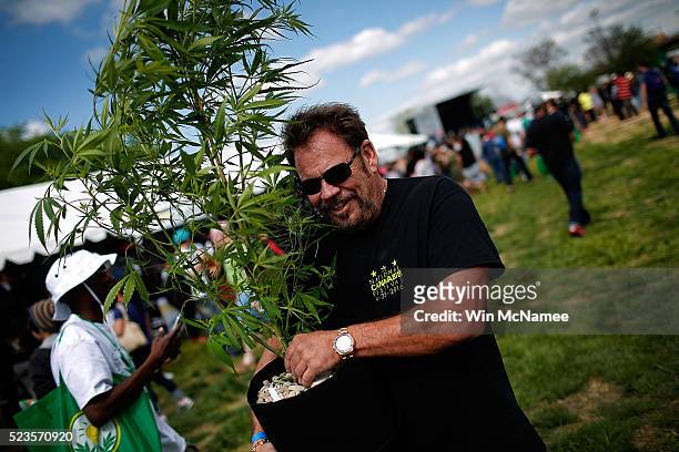 Vendor of hydroponic growing equipment carries a marijuana plant to his vending stall during the first annual National Cannabis Festival April 23,...