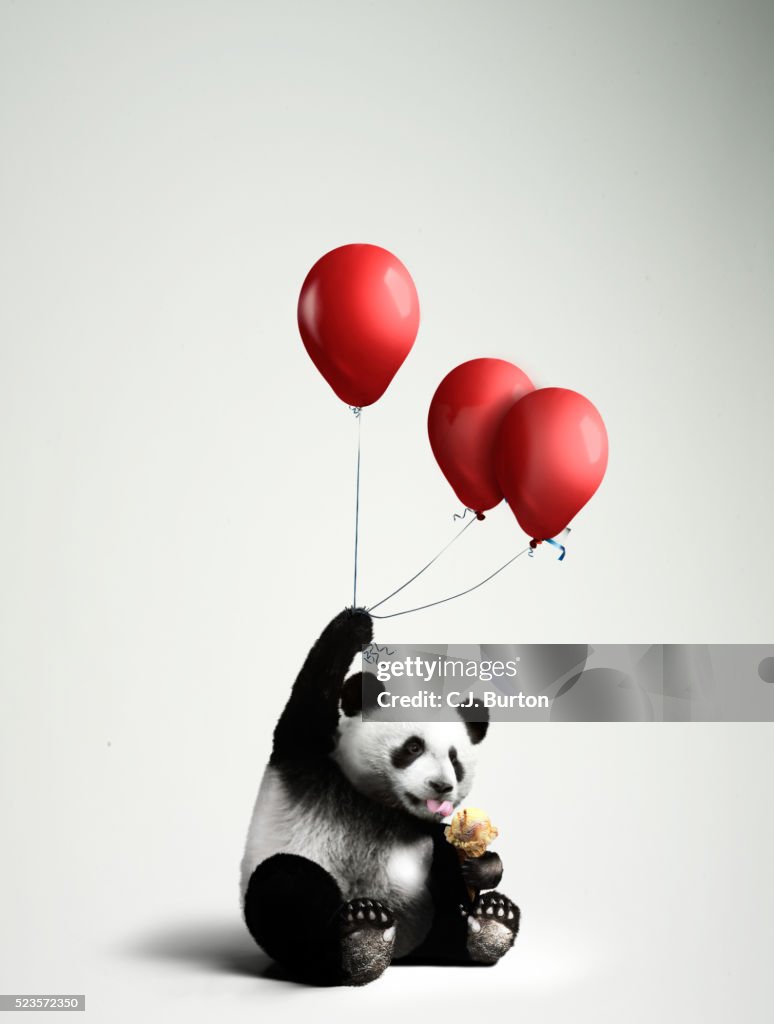 Panda holding balloons, licking ice cream