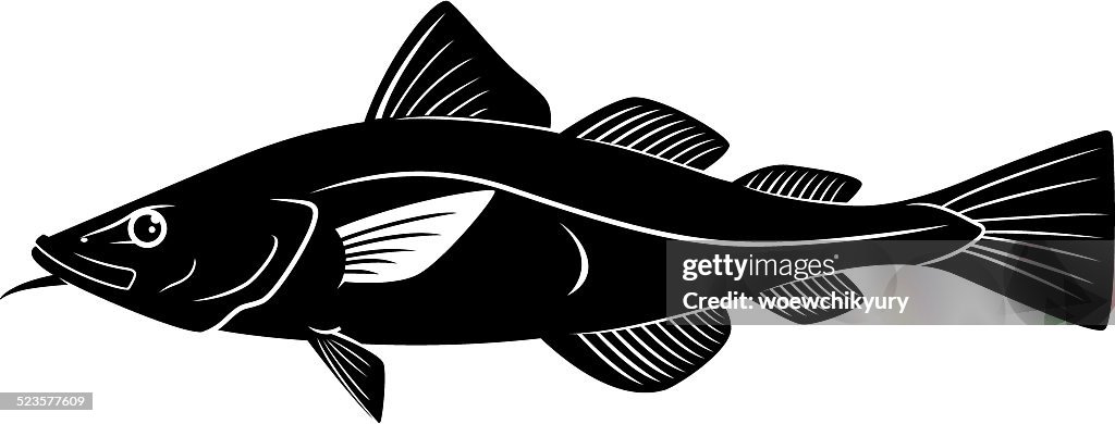 Cod Vector High-Res Vector Graphic - Getty Images