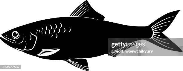 herring vector - animal fin stock illustrations