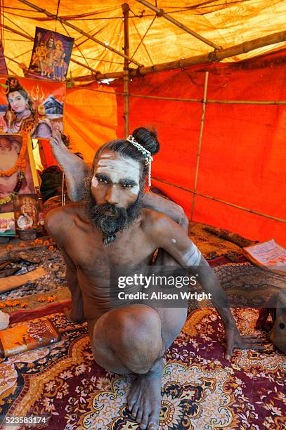 kumbh mela hindu festival - kumbh mela at allahabad stock-fotos und bilder