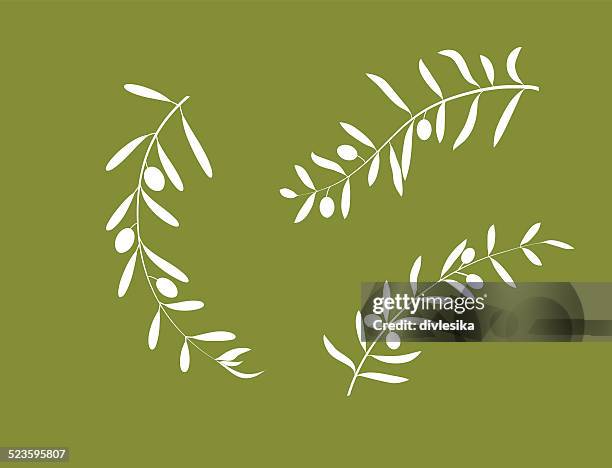 ilustraciones, imágenes clip art, dibujos animados e iconos de stock de olive branch - rama de olivo