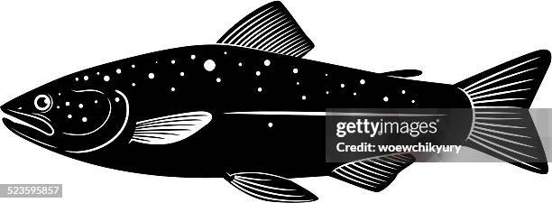trout vector - trout stock illustrations