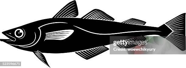 pollock vector - pollock fish stock illustrations