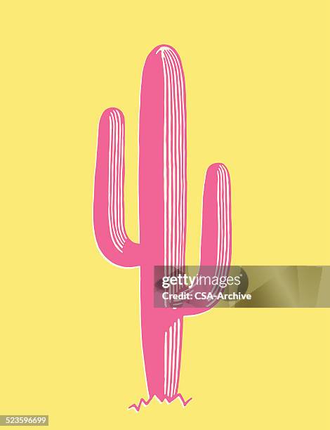 illustrazioni stock, clip art, cartoni animati e icone di tendenza di cactus saguaro - piante grasse