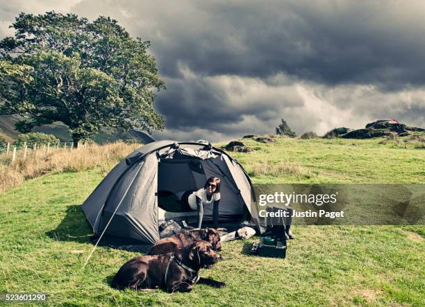 camping in the lake district. rain clouds looming - labrador retriever stock pictures, royalty-free photos & images