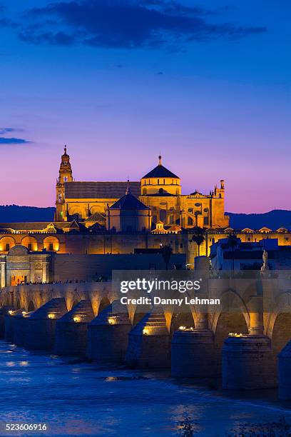 night view of cordoba's roman bridge, spain - puente romano stock pictures, royalty-free photos & images