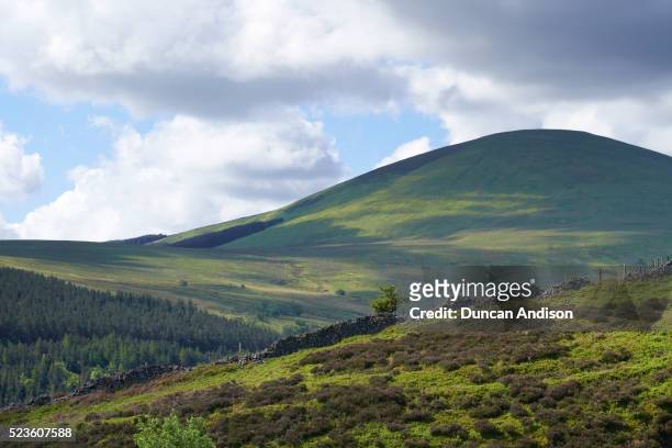 cheviot hills - cheviot hills stock pictures, royalty-free photos & images