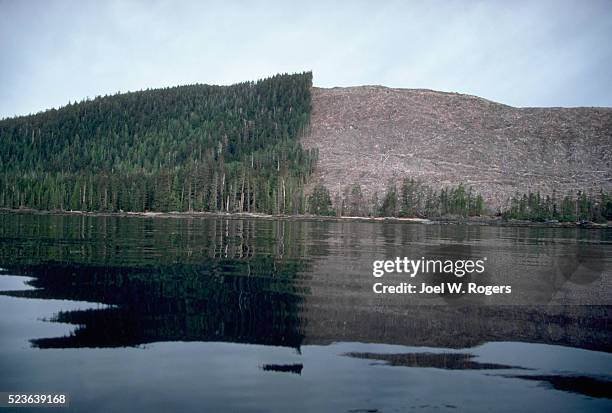 hill with old growth forest clear-cut - queen charlotte islands stock pictures, royalty-free photos & images