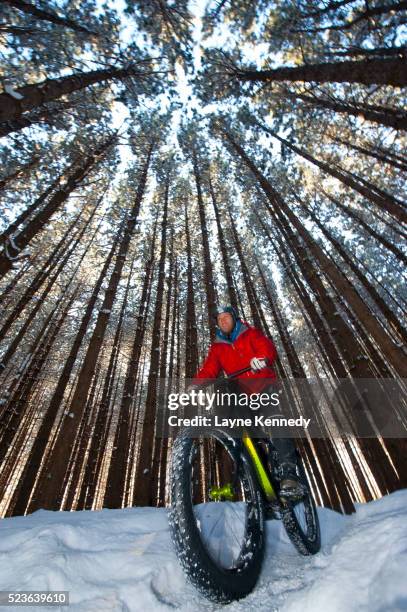 fat tire biking on lake superior - lake superior winter stock pictures, royalty-free photos & images