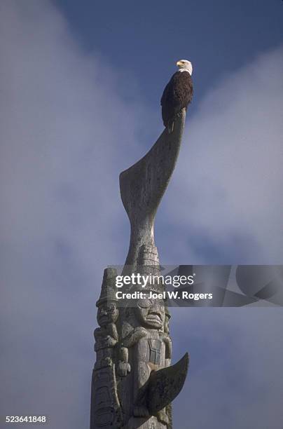 bald eagle on totem pole - haida gwaii totem poles stock pictures, royalty-free photos & images