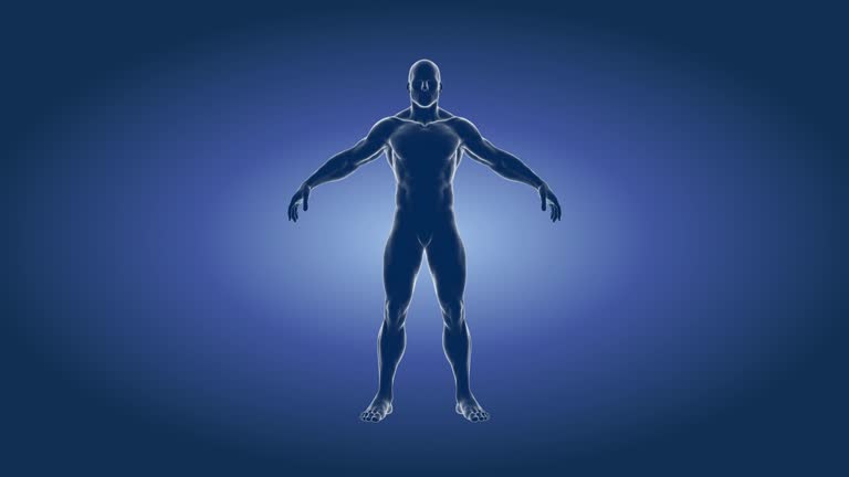 Normal Body Built 4,146 Normal Male Body Stock Videos, Footage, & 4K Video Clips - Getty ...