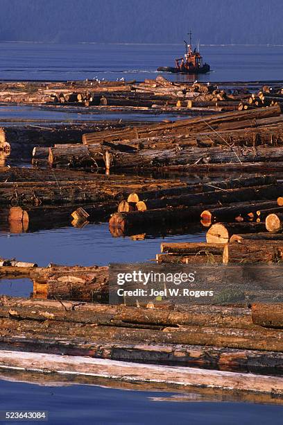 712 Floating Log Stock Photos, High-Res Pictures, and Images - Getty Images