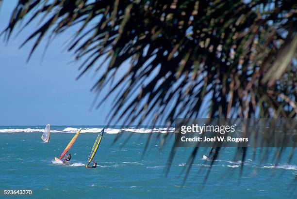 windsurfing off of cabarete - cabarete dominican republic stock pictures, royalty-free photos & images