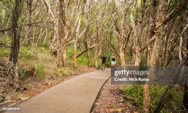 walking at tea tree bay, noosa national park - sunshine coast australia stock pictures, royalty-free photos & images