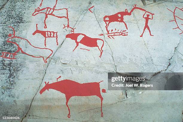 prehistoric rock carvings - cave paintings stockfoto's en -beelden