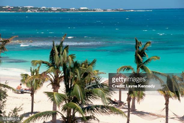 palms and sunshine on anguilla beach - anguilla photos et images de collection