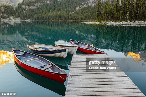 lake o'hara - lago o'hara imagens e fotografias de stock