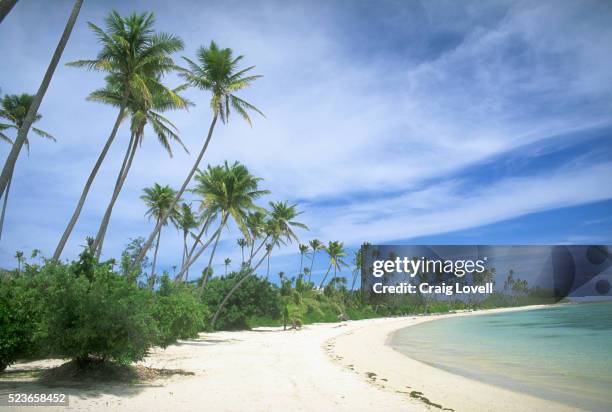 beach on yasawa island - yasawa island group stock pictures, royalty-free photos & images