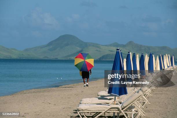 row of beach chairs on pinney beach - nevis west indies stock pictures, royalty-free photos & images