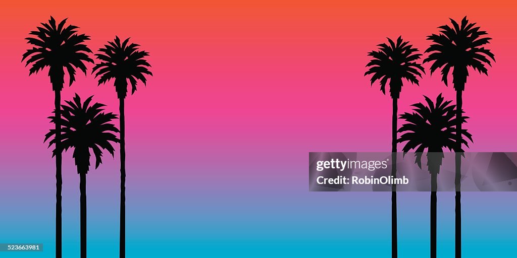 Palm Tree Sonnenuntergang Hintergrund