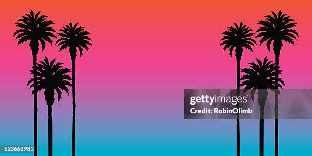 ilustrações de stock, clip art, desenhos animados e ícones de fundo de árvore de palma ao pôr do sol - palm tree