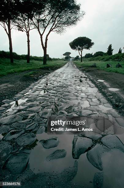 view of the appian way - appian way stock pictures, royalty-free photos & images