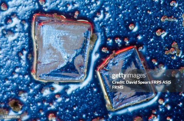 salt crystal - scanning electron microscope stock pictures, royalty-free photos & images