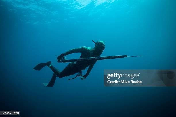 spearfishing in open water - harpun bildbanksfoton och bilder