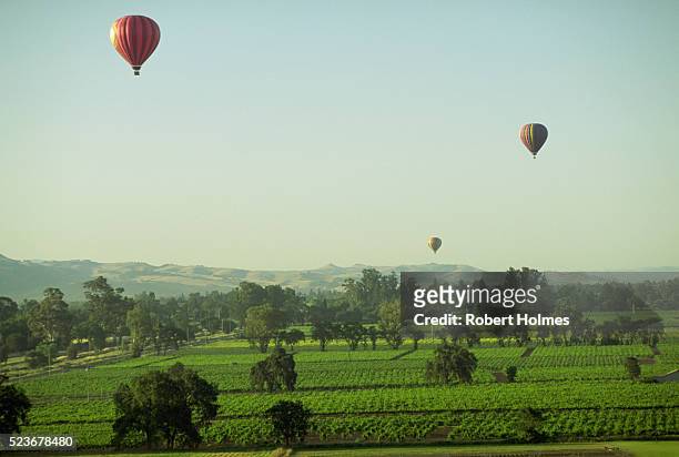 ballooning over the napa valley - napa valley foto e immagini stock