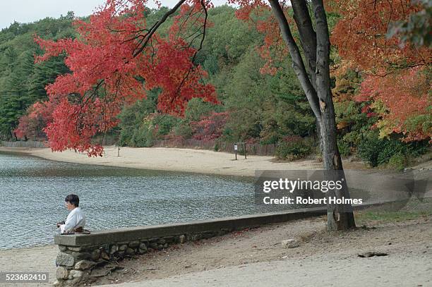 Walden Rocks 330 Walden Ponds Stock Photos, High-Res Pictures, and Images - Getty Images