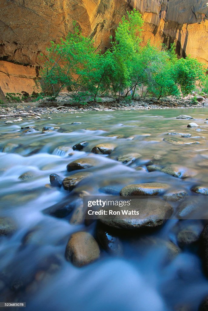 Zion Canyon Narrows