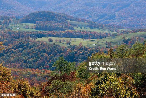 trees and farms - monongahela national forest stock pictures, royalty-free photos & images