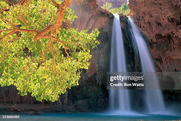 havasu falls - havasu falls 個照片及圖片檔