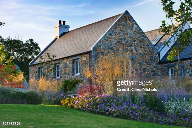 le haut, guernsey: view across lawn to the house with stipa gigantea and geraniums in purple border - stipa stock pictures, royalty-free photos & images