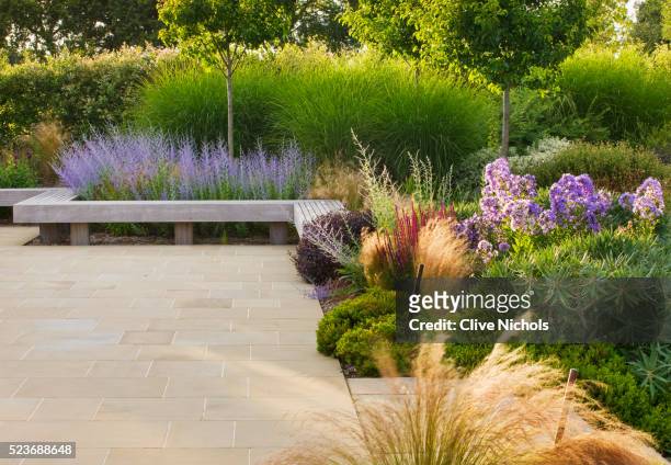 le haut, guernsey: border by swimming pool with wooden bench, stipa tenuissima and campanula - stipa stock pictures, royalty-free photos & images