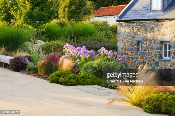 le haut, guernsey: border by swimming pool with wooden bench, stipa tenuissima and campanula - stipa stock pictures, royalty-free photos & images