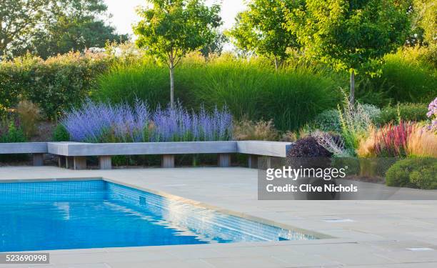 le haut, guernsey: border by swimming pool with wooden bench, planted with stipa tenuissima and camp - stipa stock pictures, royalty-free photos & images