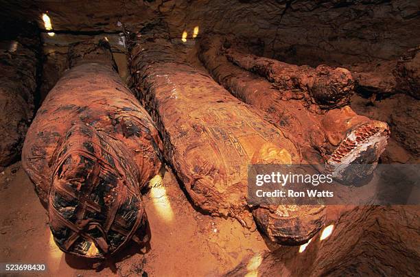 mummified remains in tomb of the golden mummies - archeologie stockfoto's en -beelden