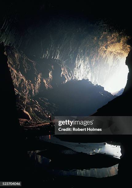 deer cave in mulu national park - deer cave stockfoto's en -beelden