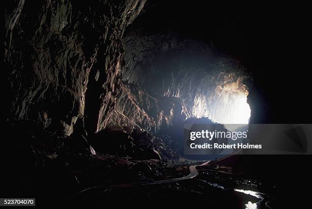 deer cave in mulu national park - deer cave stockfoto's en -beelden