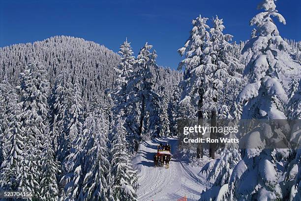sleigh ride on grouse mountain - grouse mountain fotografías e imágenes de stock