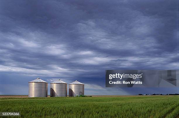 silos in a field under cloudy skies - edificio agrícola fotografías e imágenes de stock